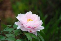 to.農業公園 019