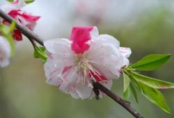 to.農業公園 020