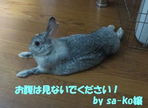 sa-ko 20130523 001