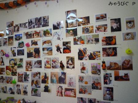 H_20121024075110.jpg