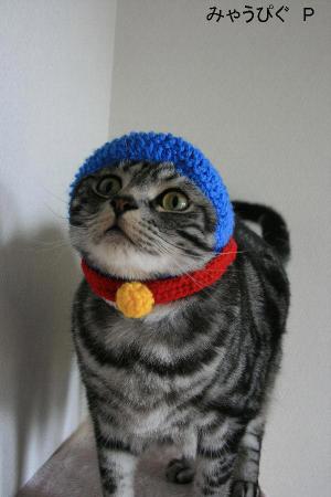dora