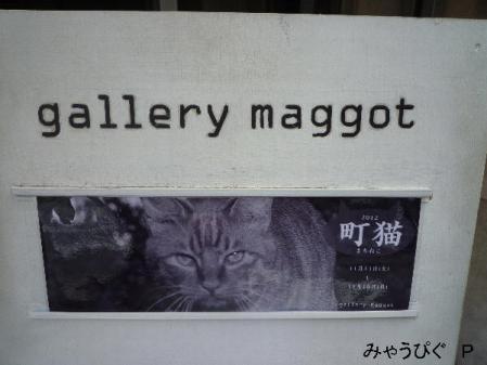 mago