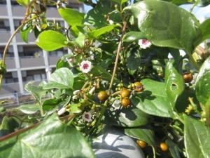 141028-12.jpg