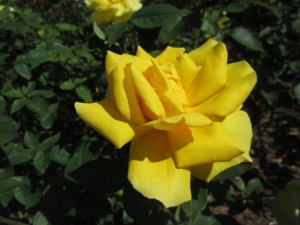 141029-15.jpg