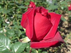 141029-22.jpg