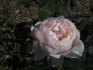 141029-24.jpg