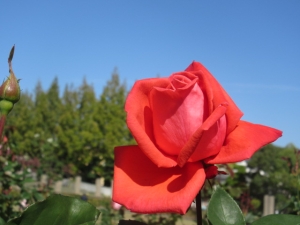 141029-25.jpg