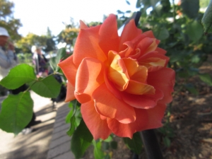 141029-26.jpg