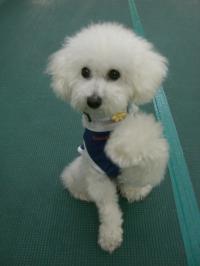 CIMG0727_convert_20120828142102.jpg