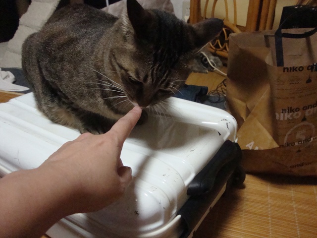 DSC02324.jpg