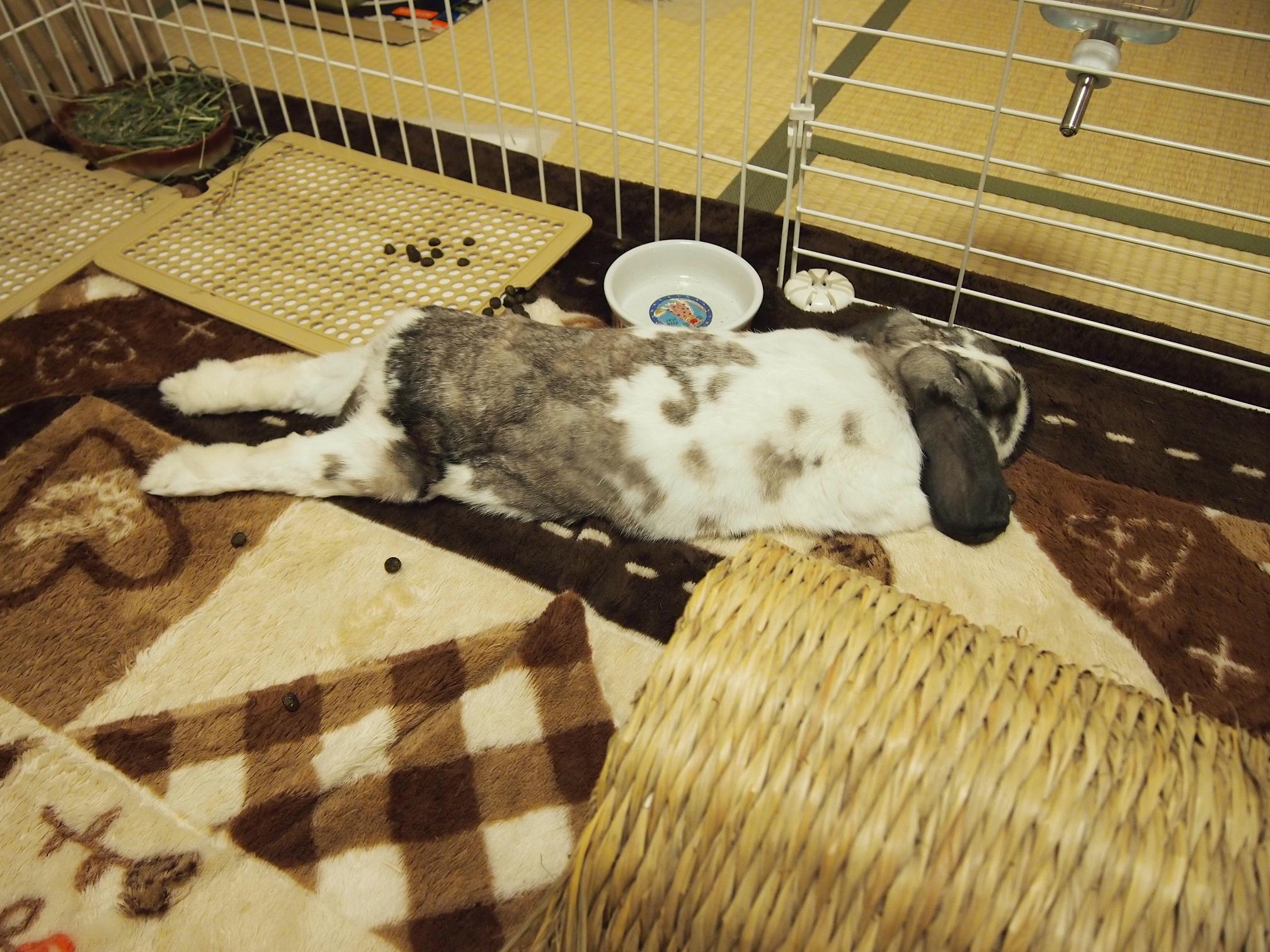 20130527_usa2.jpg