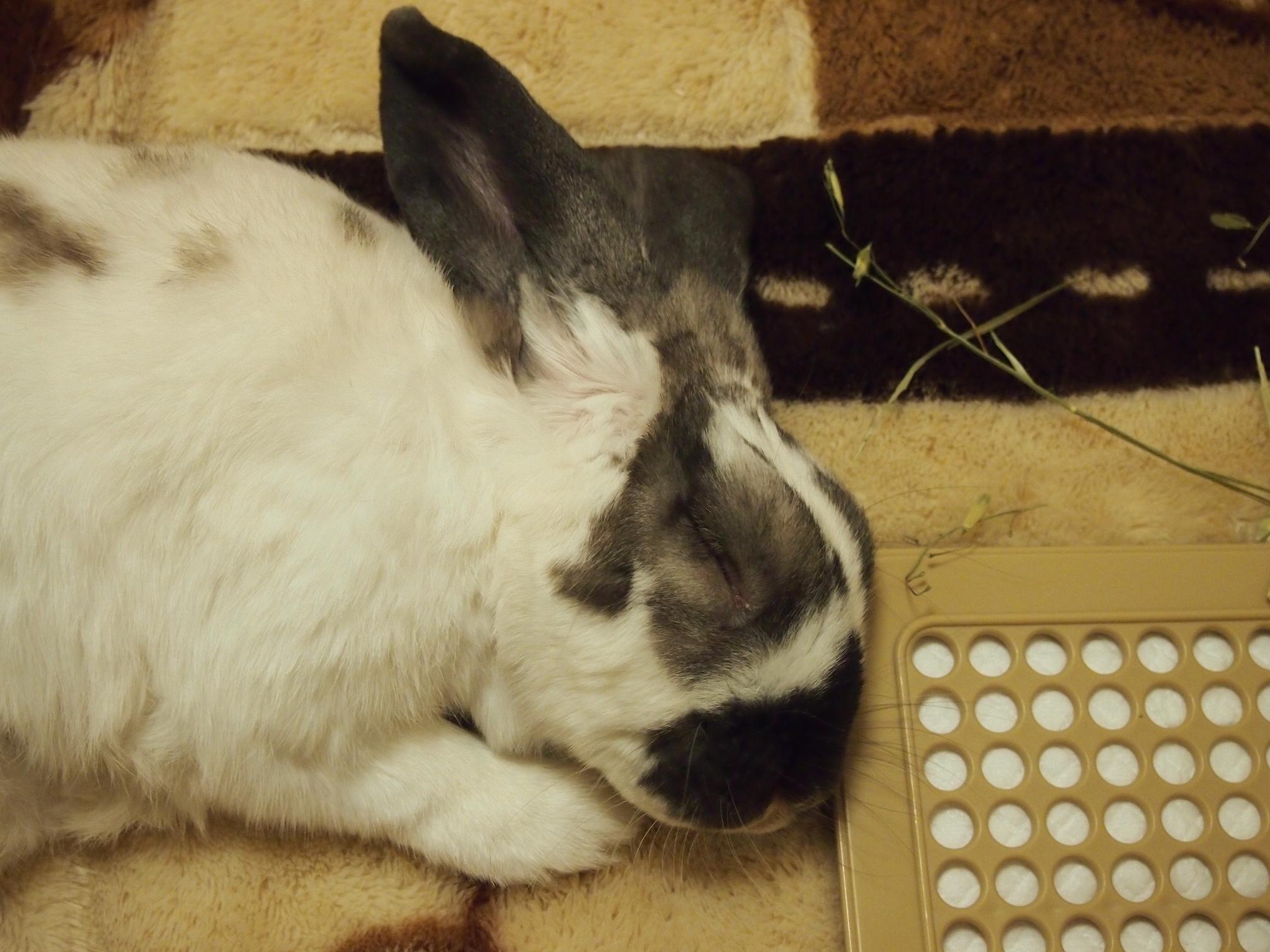 20130603_usa.jpg
