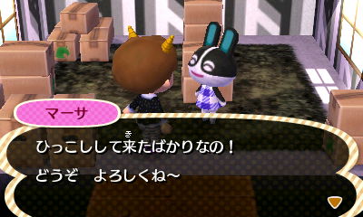 HNI_0070_JPG.jpg