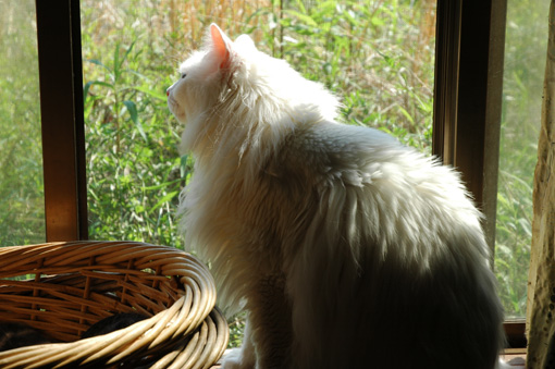 01_20120511191655.jpg