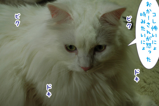03_20120529185557.jpg