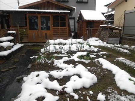 2月7日の外2