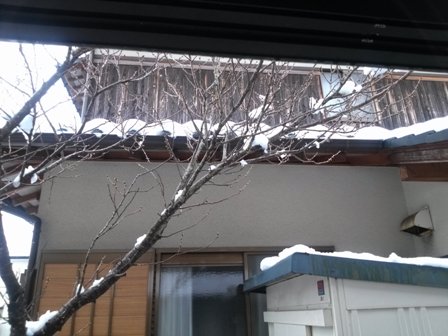 大雪の外1