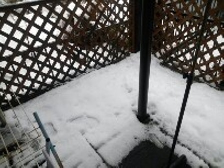 大雪の外4