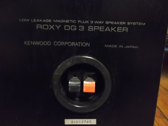 DG3 SP 4_s