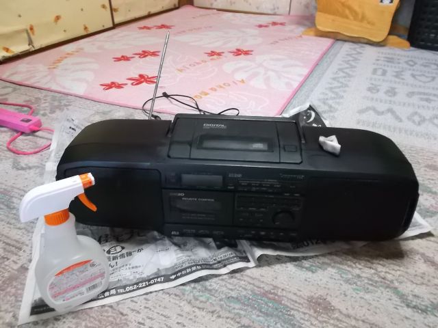 RX-DS30 清掃1_s
