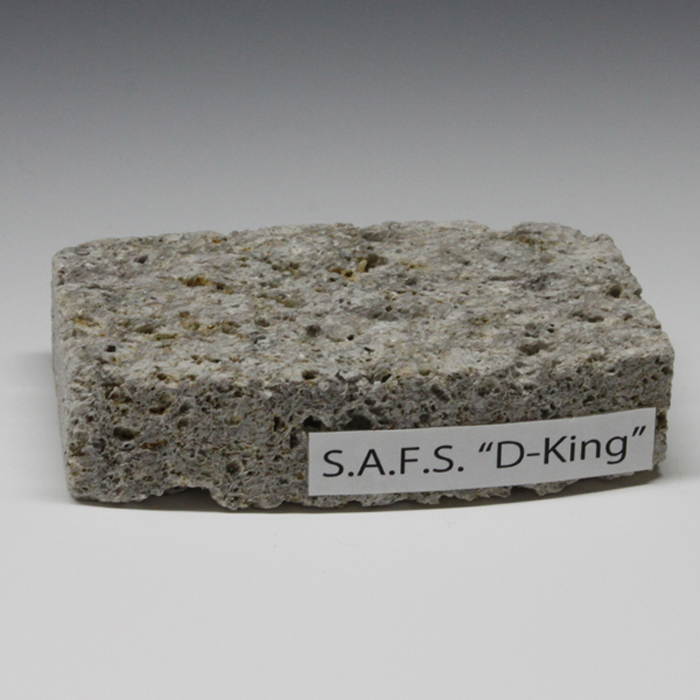 S.A.F.S. D-King 全塗装作例