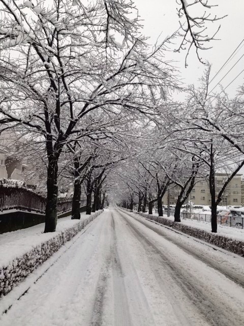 雪景色