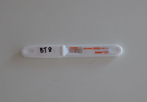 20121205a.jpg
