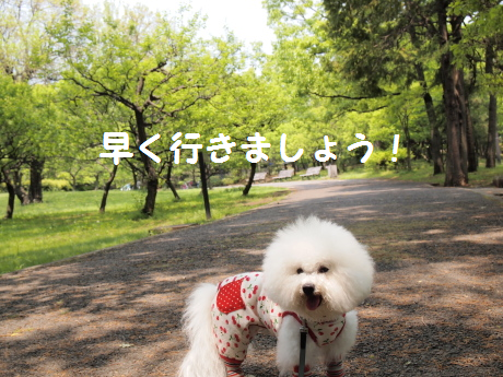 早く