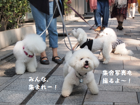 あつまれ
