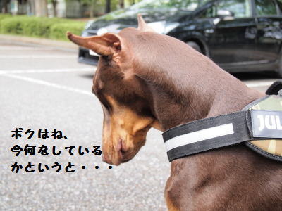 なにしてる