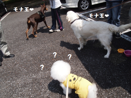 もなおうだ