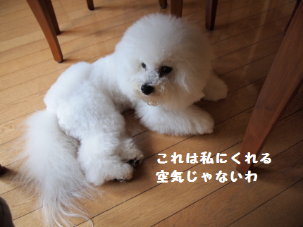 くうき