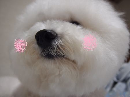 まんざら2