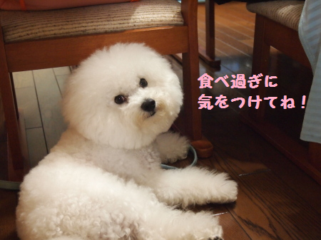 たべすぎ