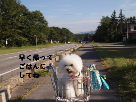 ごはん