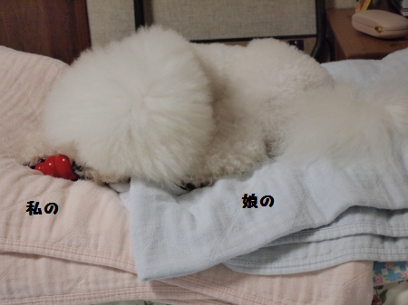 私の