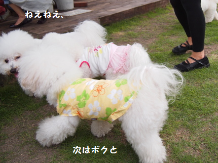 ねえねえ