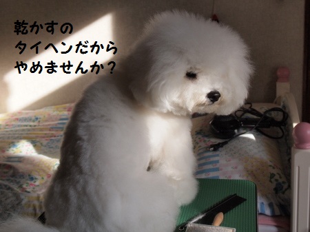 やめませんか