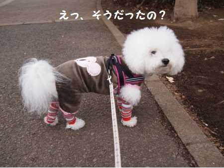 そうだったの
