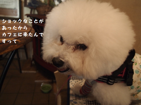 ふと1