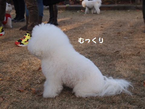 ずん2