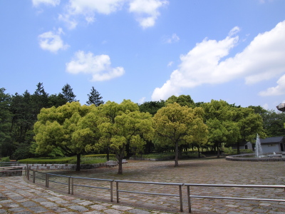P5184114.jpg