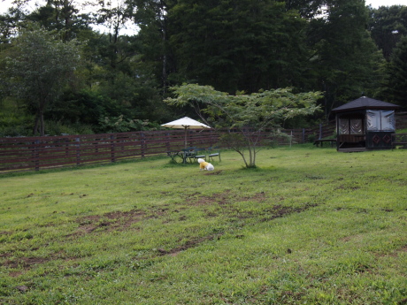 P8110331.jpg