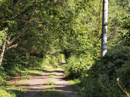 P8120646.jpg