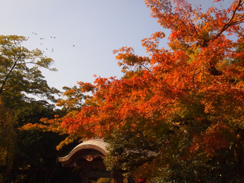 PA264392.jpg