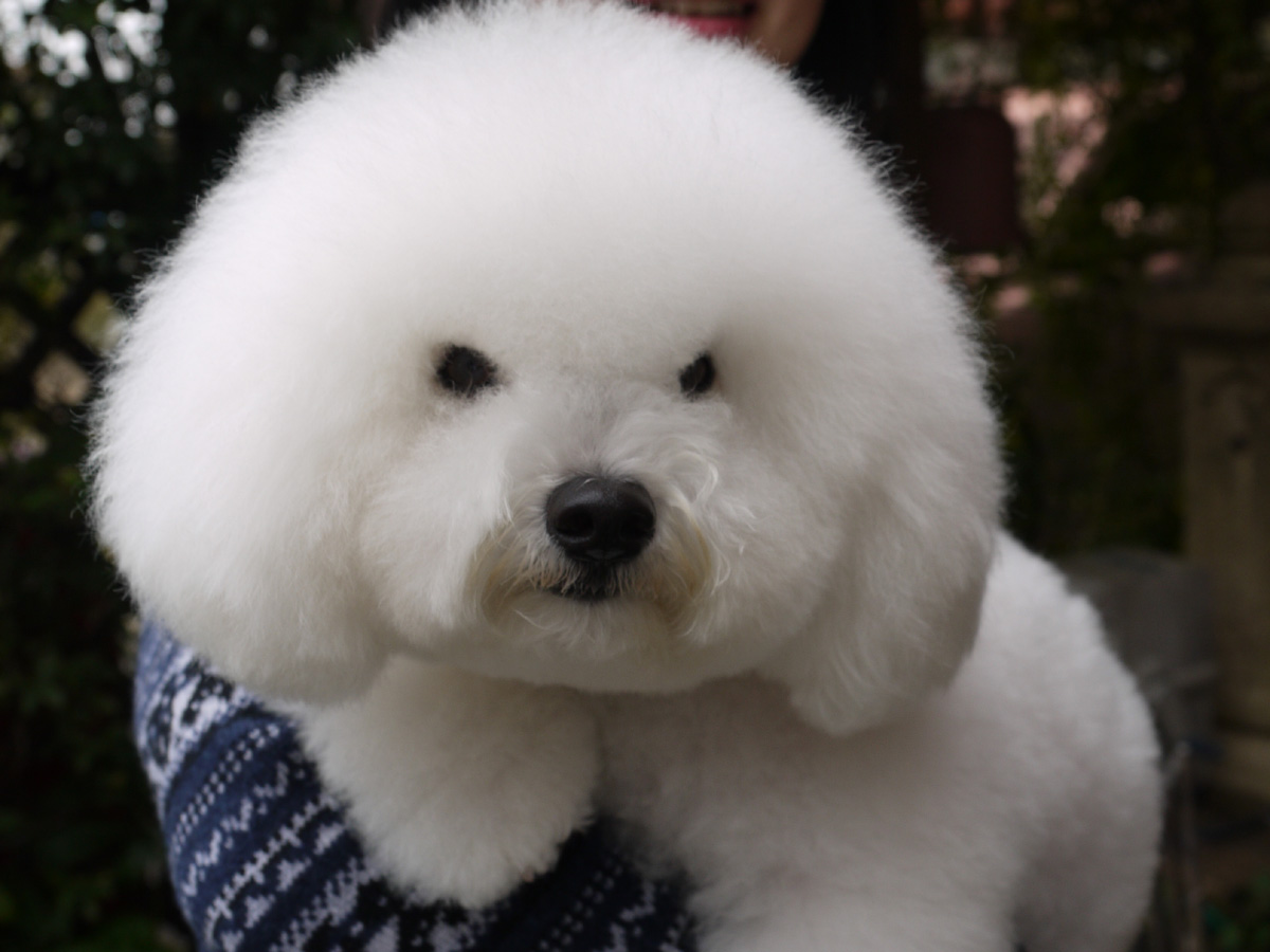 coco1.jpg