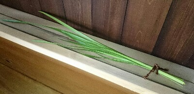 20141120205337727.jpg