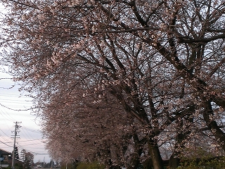 130409.jpg