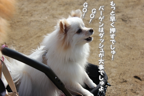 20130212-IMG_7794.jpg