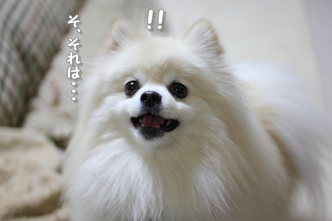 20130218-IMG_7979.jpg